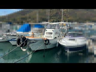 ヤンマー DE28GZ-IS