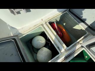 ヤンマー DE28GZ-IS