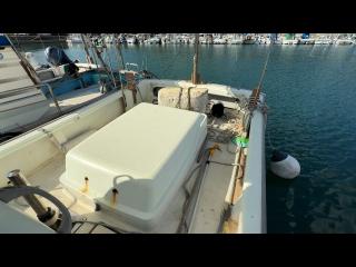 ヤンマー DE28GZ-IS