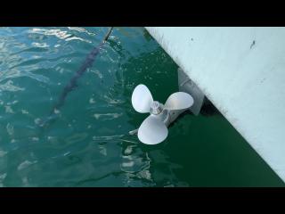 ヤンマー DE28GZ-IS