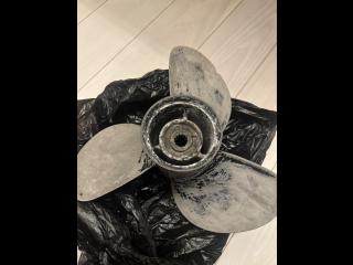 バンビ（株） BFK21