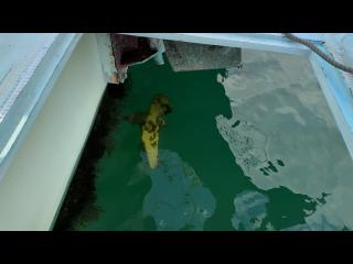 浜田造船所 浜田造船所25フィート漁船