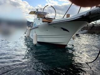 ヤンマー とびうおDE24GZ-1Sハードトップ