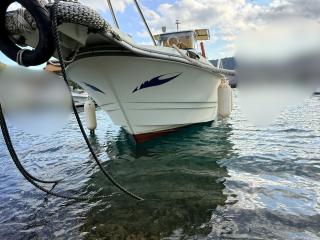 ヤンマー とびうおDE24GZ-1Sハードトップ