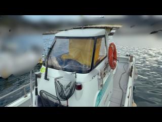 ヤンマー とびうおDE24GZ-1Sハードトップ