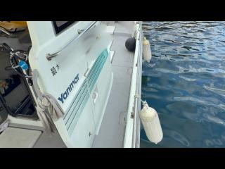 ヤンマー とびうおDE24GZ-1Sハードトップ