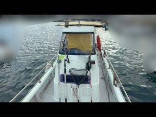 ヤンマー とびうおDE24GZ-1Sハードトップ