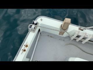 ヤンマー とびうおDE24GZ-1Sハードトップ