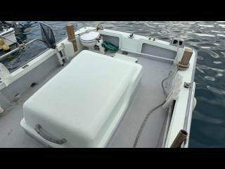 ヤンマー とびうおDE24GZ-1Sハードトップ