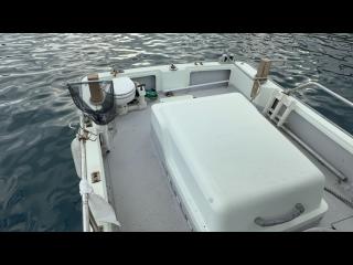 ヤンマー とびうおDE24GZ-1Sハードトップ