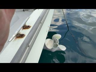 ヤンマー とびうおDE24GZ-1Sハードトップ