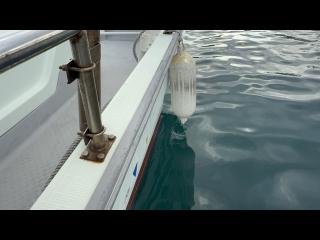 ヤンマー とびうおDE24GZ-1Sハードトップ