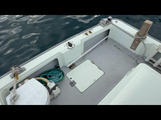 ヤンマー とびうおDE24GZ-1Sハードトップ