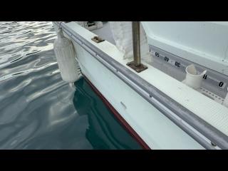 ヤンマー とびうおDE24GZ-1Sハードトップ