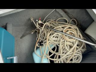 ヤンマー とびうおDE24GZ-1Sハードトップ