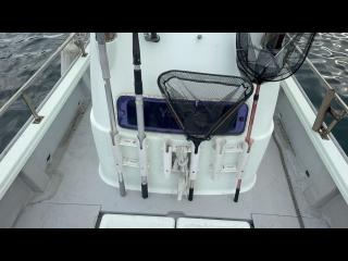 ヤンマー とびうおDE24GZ-1Sハードトップ