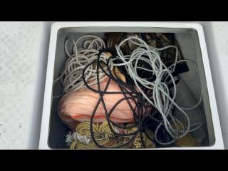 ヤンマー とびうおDE24GZ-1Sハードトップ