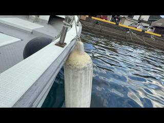 ヤンマー とびうおDE24GZ-1Sハードトップ