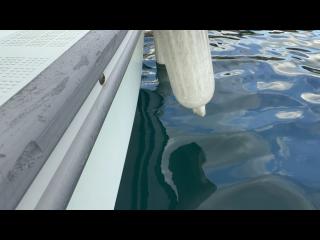 ヤンマー とびうおDE24GZ-1Sハードトップ