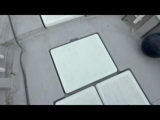 ヤンマー とびうおDE24GZ-1Sハードトップ