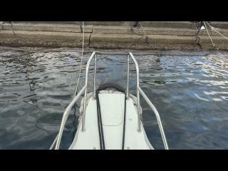 ヤンマー とびうおDE24GZ-1Sハードトップ