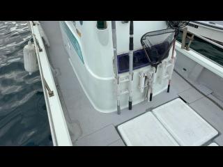 ヤンマー とびうおDE24GZ-1Sハードトップ