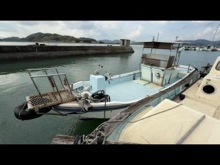 ヤンマー はやかぜZN24A3