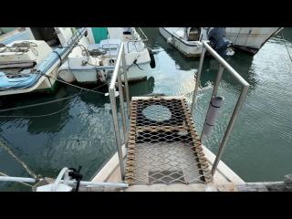 ヤンマー はやかぜZN24A3