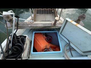 ヤンマー はやかぜZN24A3