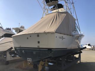 アルベマーレ 310 Express Fisherman