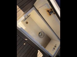 アルベマーレ 310 Express Fisherman