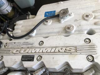 アルベマーレ 310 Express Fisherman