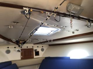 アルベマーレ 310 Express Fisherman