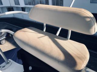 アルベマーレ 310 Express Fisherman