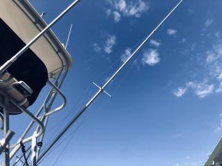 アルベマーレ 310 Express Fisherman