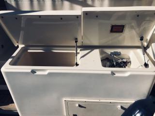 アルベマーレ 310 Express Fisherman