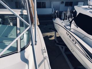 アルベマーレ 310 Express Fisherman