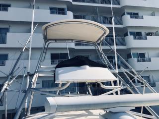 アルベマーレ 310 Express Fisherman