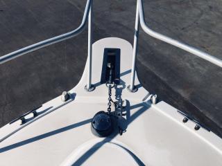 アルベマーレ 310 Express Fisherman