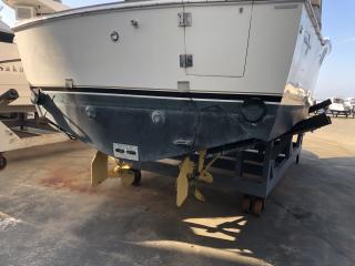 アルベマーレ 310 Express Fisherman