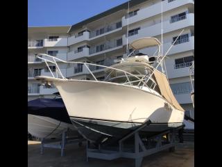 アルベマーレ 310 Express Fisherman