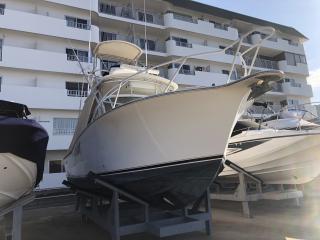 アルベマーレ 310 Express Fisherman