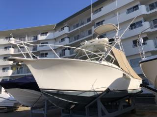 アルベマーレ 310 Express Fisherman