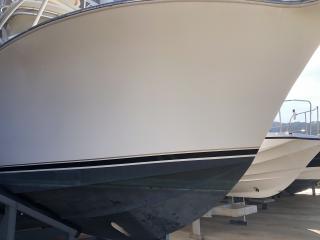 アルベマーレ 310 Express Fisherman