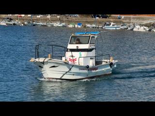 ヤンマー はやしおDE25B