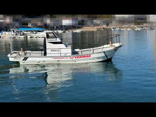 ヤンマー はやしおDE25B