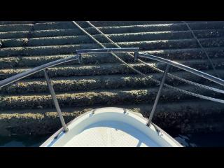 ヤンマー はやしおDE25B