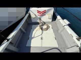 ヤンマー はやしおDE25B