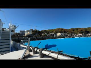 ヤンマー はやしおDE25B