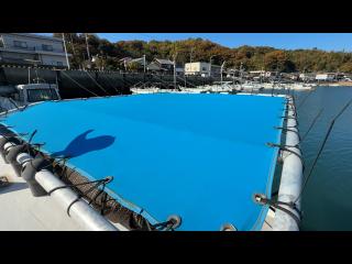 ヤンマー はやしおDE25B